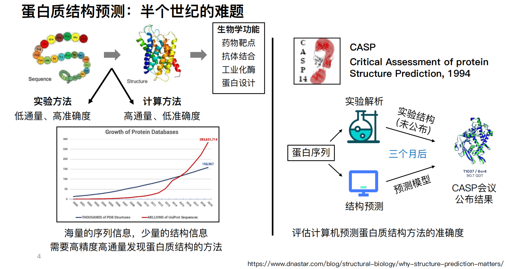 原 PPT 第12页:蛋白质结构预测半个世纪的难题与 CASP 评价流程