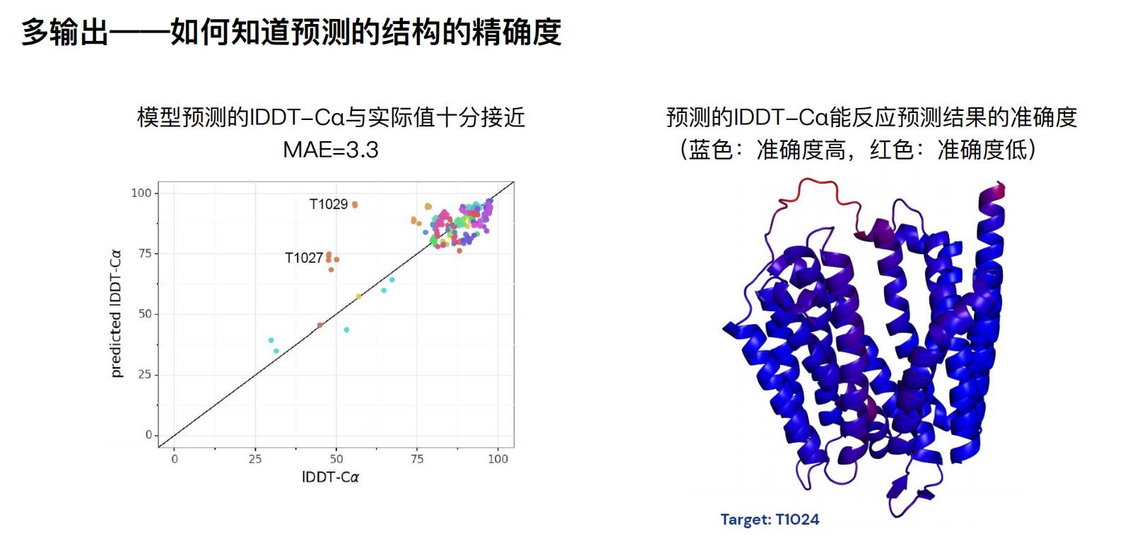 AlphaFold 输出与置信度图