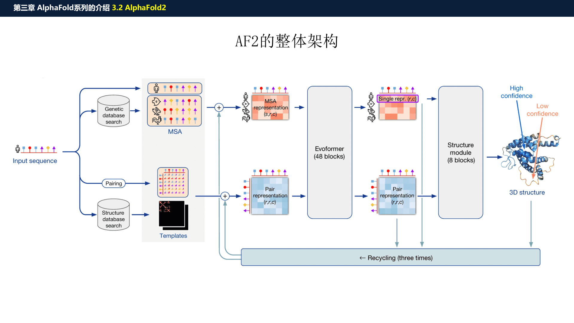 源PPT第18页:AF2 整体架构