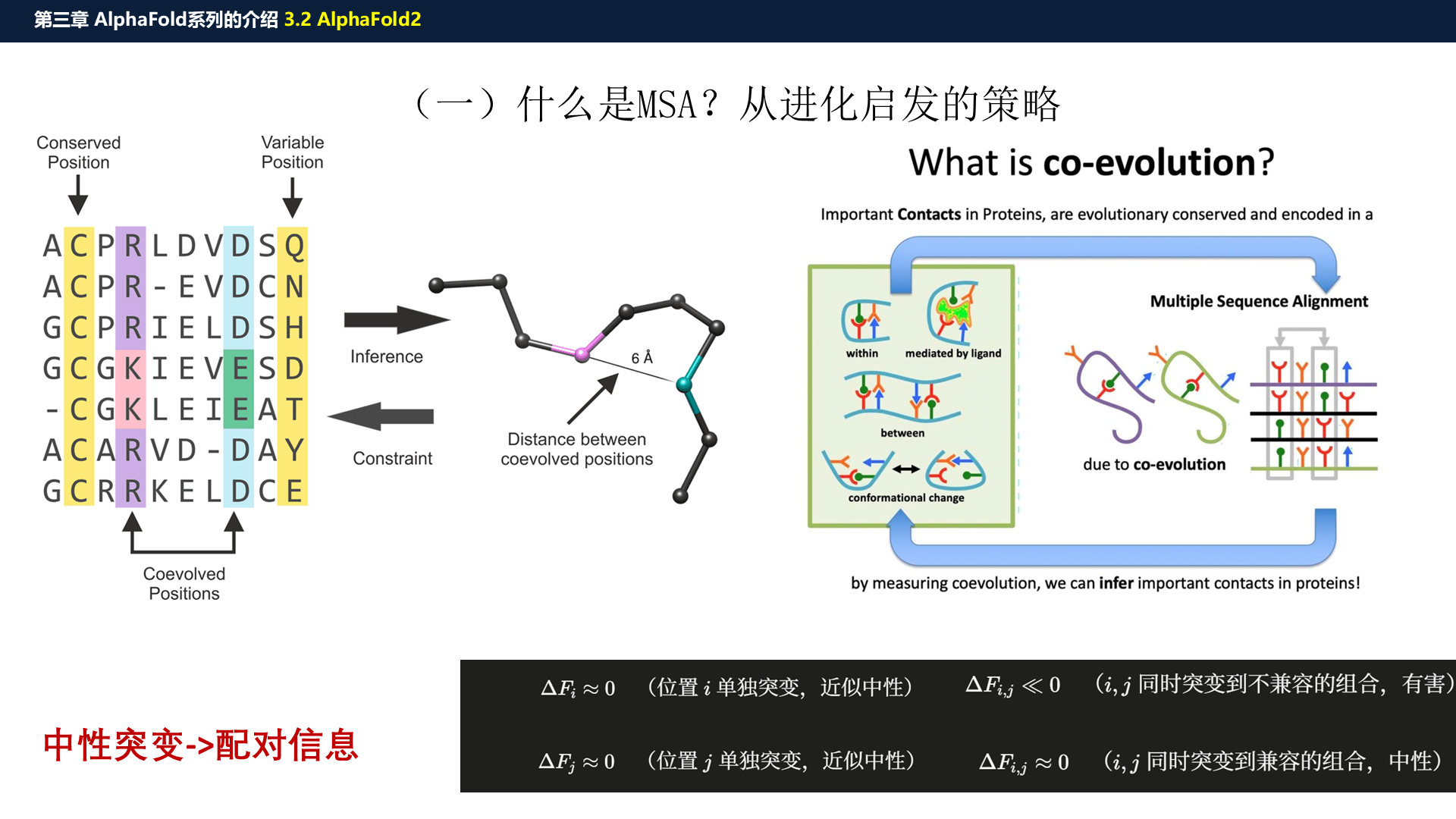 源PPT第20页:MSA 共进化启发