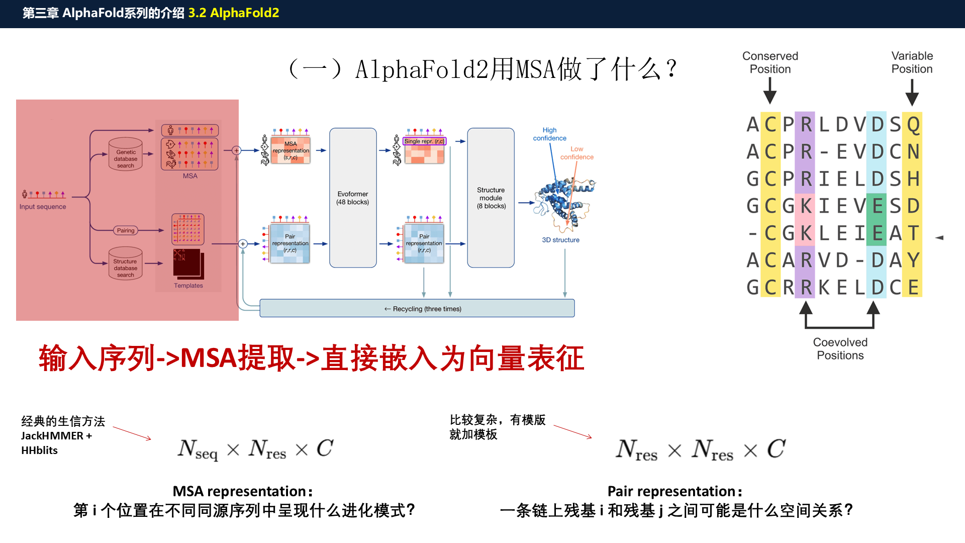 源PPT第23页:AF2 用 MSA 做什么
