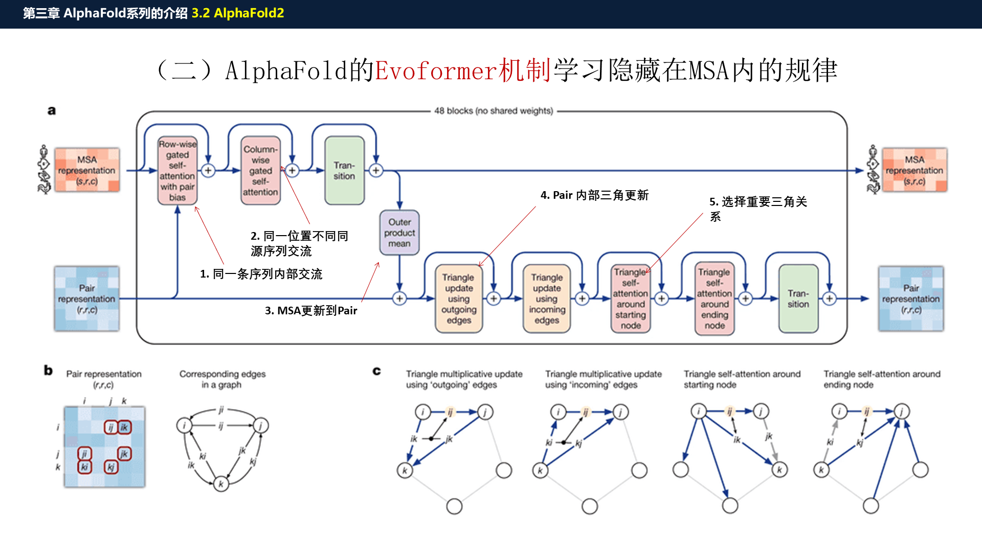 源PPT第26页:Evoformer 机制