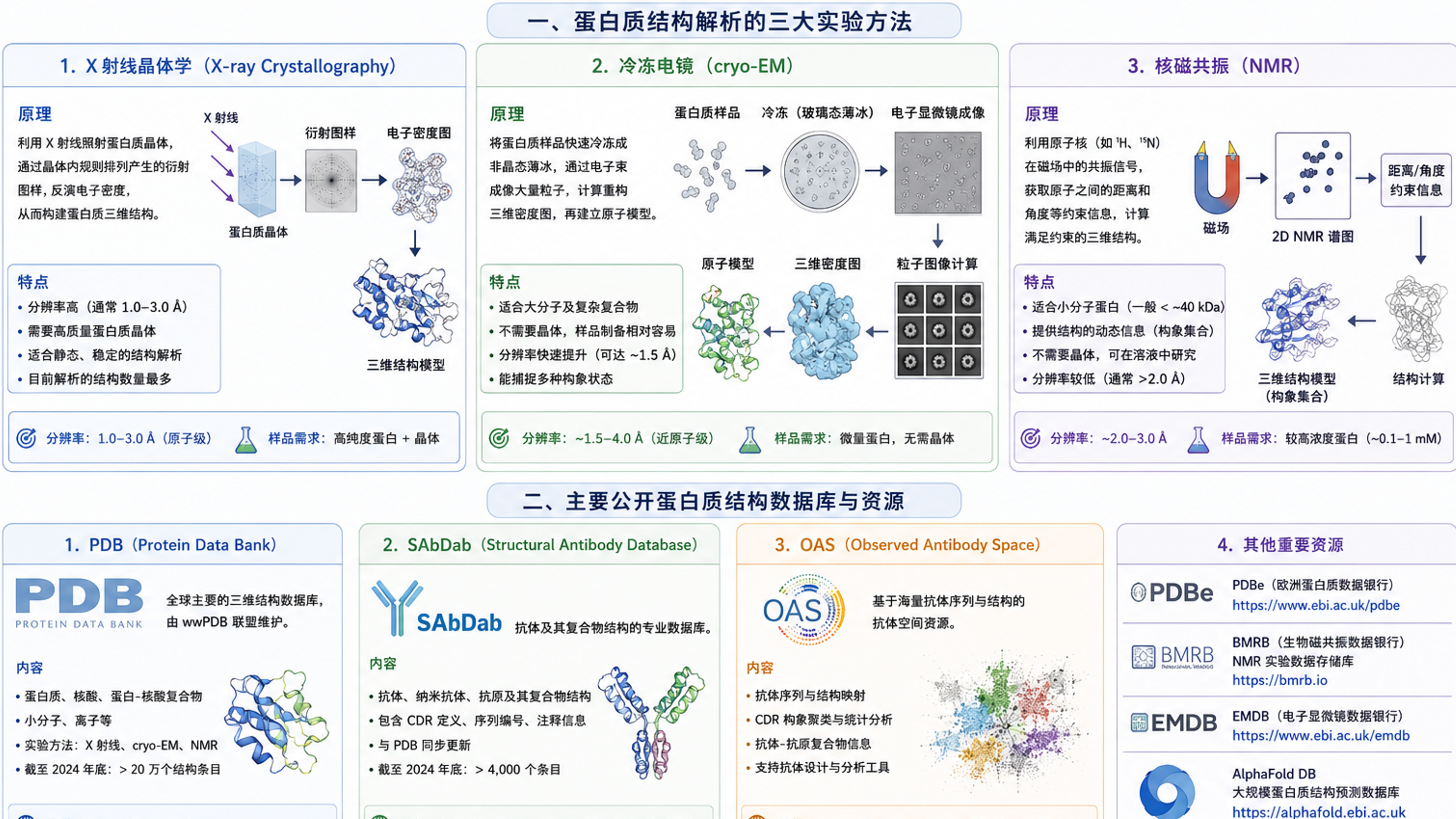 蛋白质结构解析方法与公开结构数据库概览:X-ray、cryo-EM、NMR、PDB、SAbDab、OAS 和 AlphaFold DB